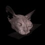 3D Texture Volume Visualization with shading (CT Scan of a cat)
